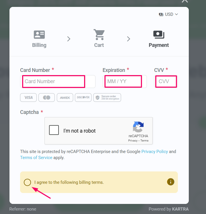 After Accepting The Terms The Continue Payment Button