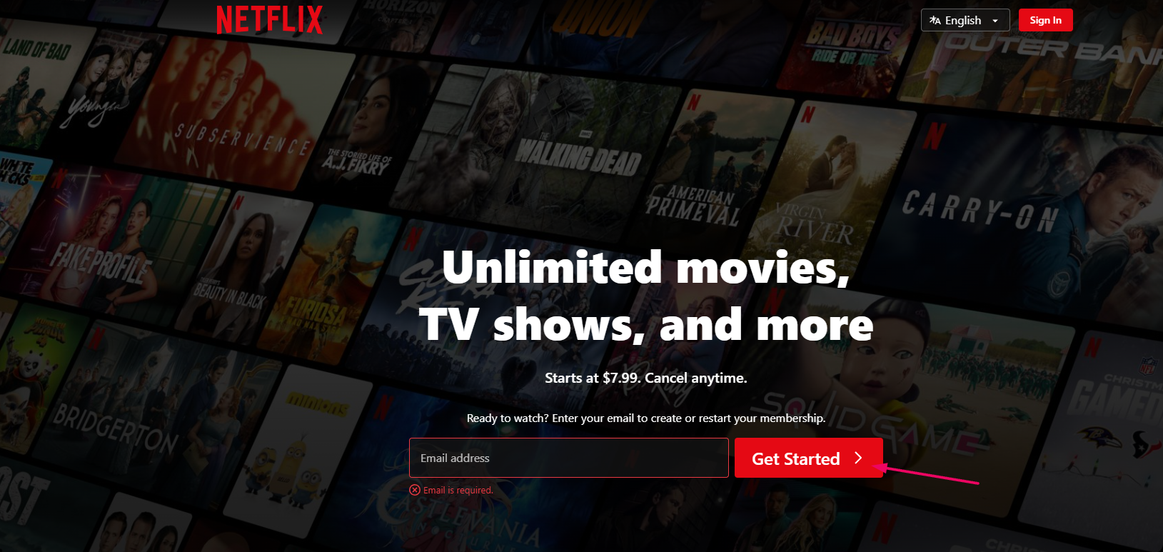 Netflix Website & Click On Get Started