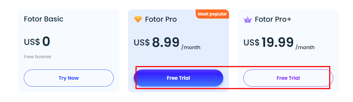 Premium Pro or Pro+ plans Fotor