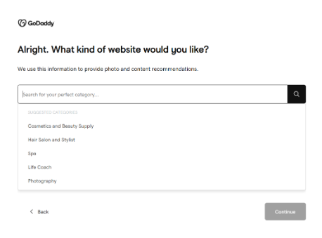 GoDaddy features category