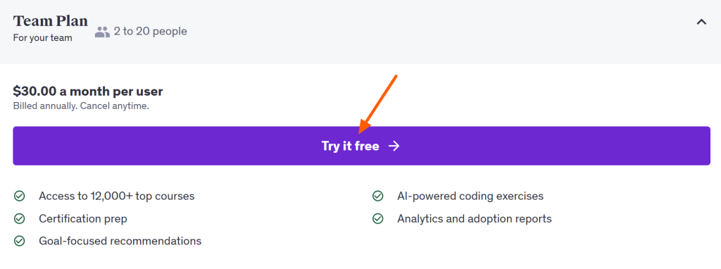 Udemy Team Plan