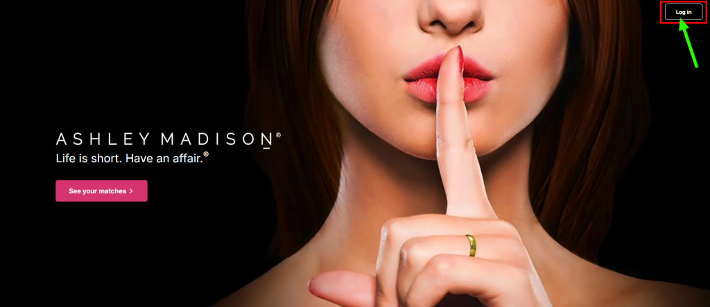Ashley Madison Homepage
