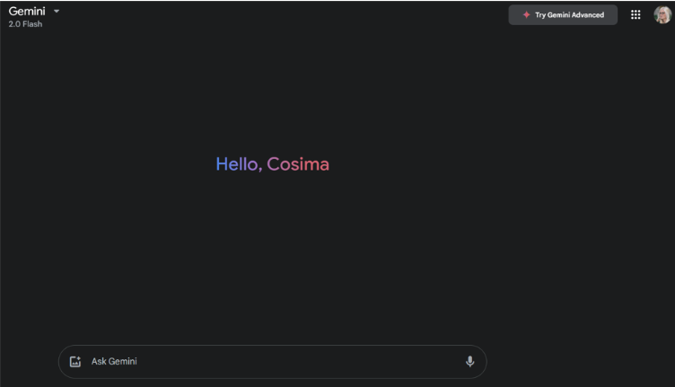 Gemini's official page
