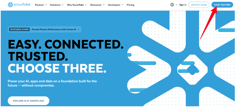 Snowflake official website