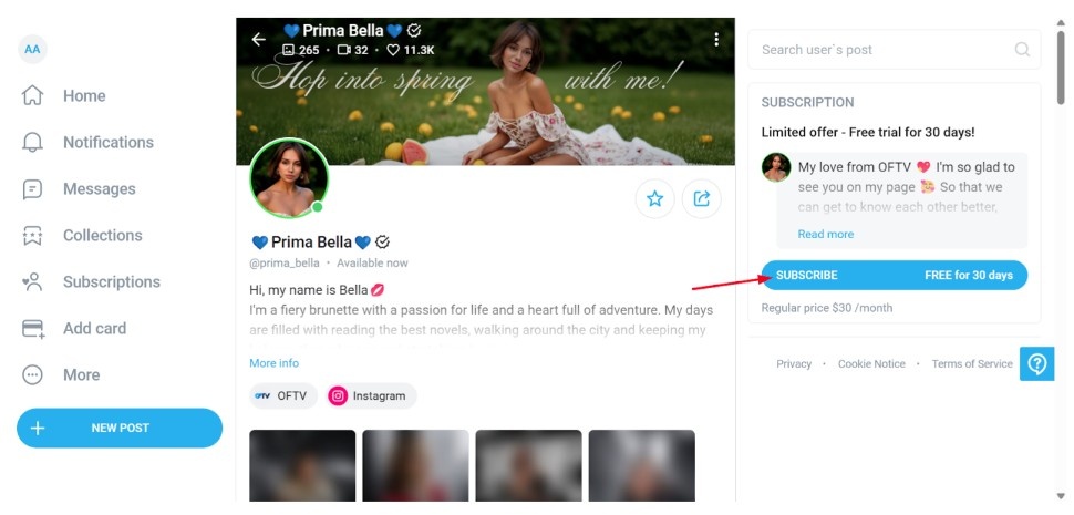 Onlyfans creator’s profile subscription
